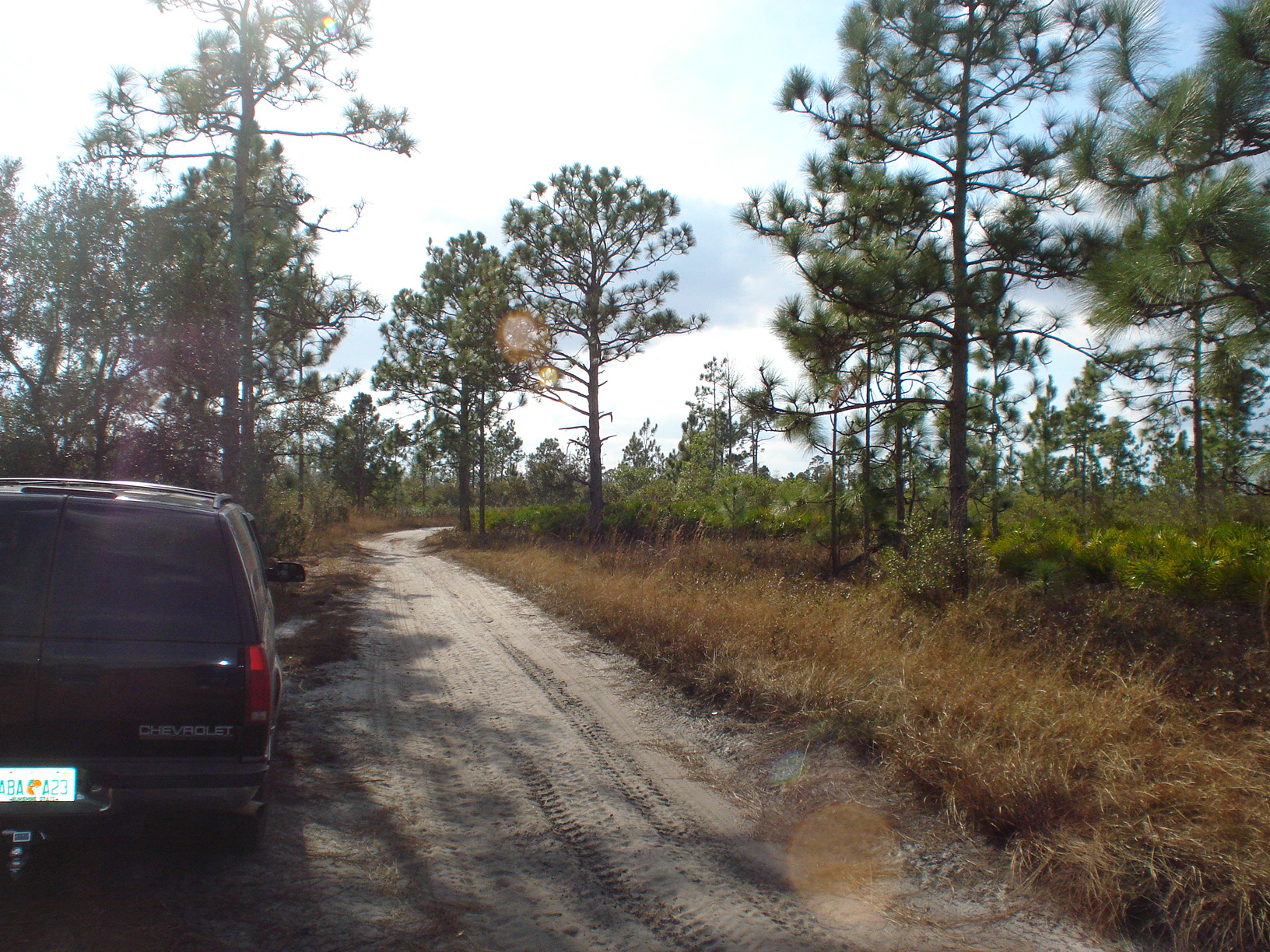 Suburban Estates Holopaw Recreational Lots For Sale