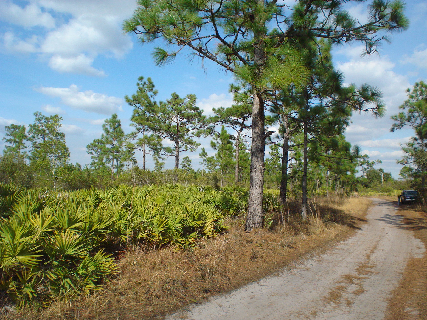 Suburban Estates Holopaw Recreational Lots For Sale